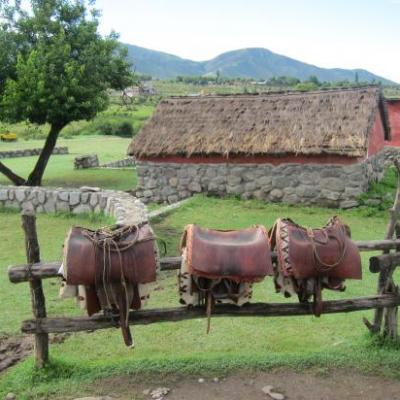 Balade à cheval à El Tafi