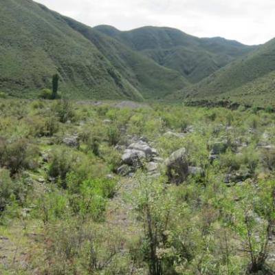 Balade à cheval dans la vallée d'El Tafi