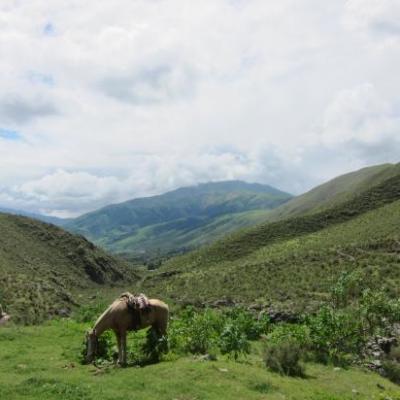 Balade à cheval dans la vallée d'El Tafi