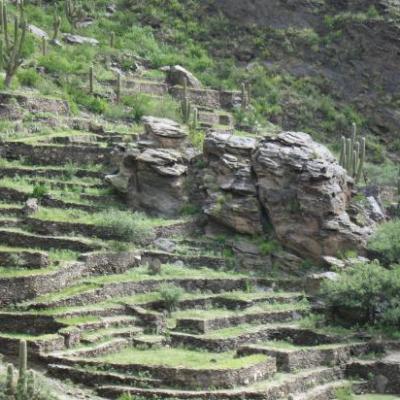 Vue des ruines de Quilmes depuis la colline