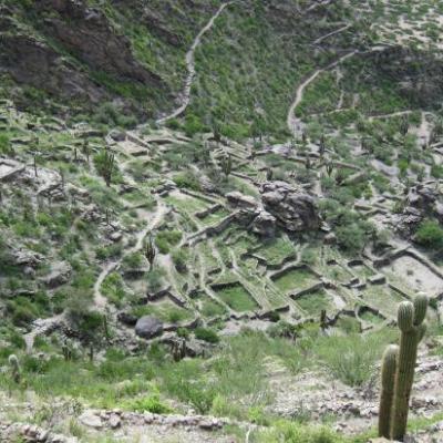  Vue des ruines de Quilmes depuis la colline