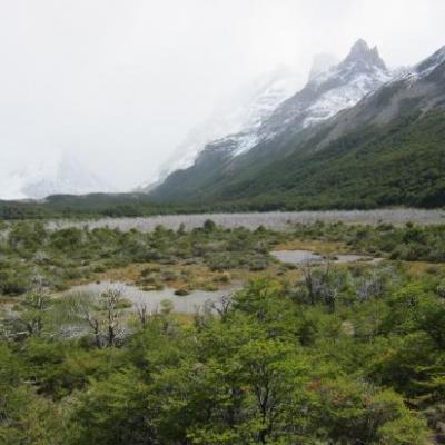 Randonnée à la Laguna Torre
