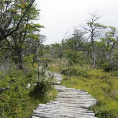 Randonnée à la Laguna Torre