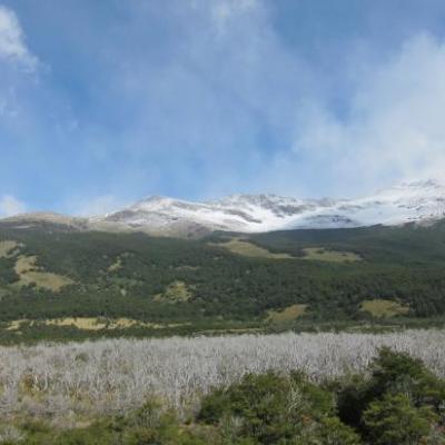 Randonnée à la Laguna Torre