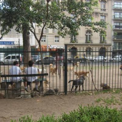 Parc à chiens