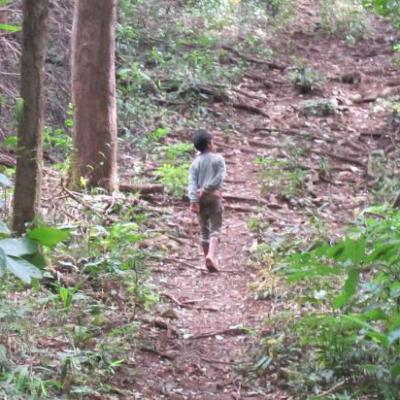 Un jeune Pnong dans la jungle