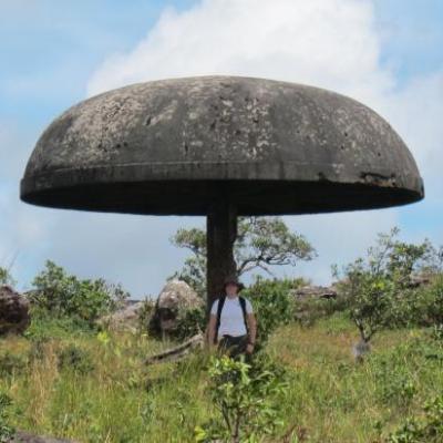 Un champignon magique