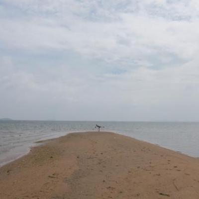 Julia au bout du monde