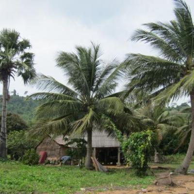Un cabanon typique sous les cocotiers