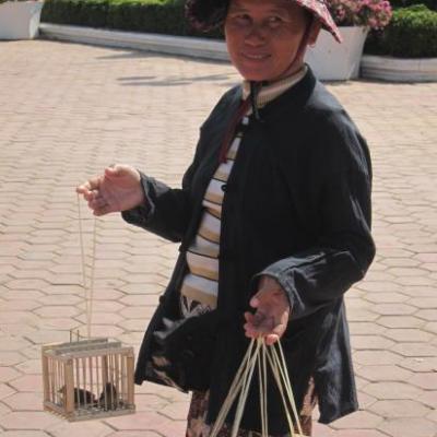 Ouvrez, ouvrez la cage aux oiseaux.