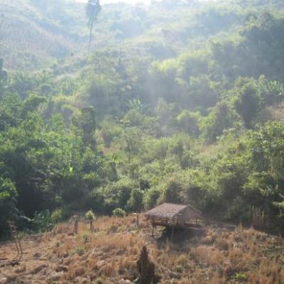 La petite maison dans la colline