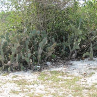 la riviere enchantee de Mui Ne