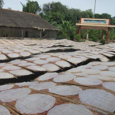 Fabrique artisanale de nouilles de riz