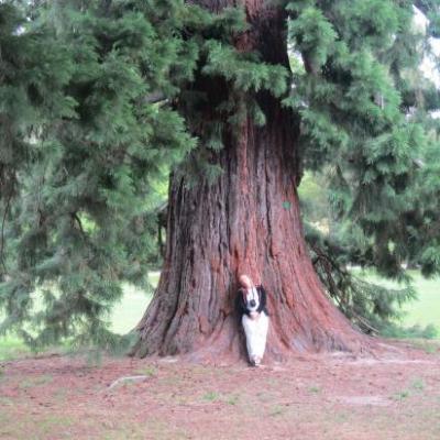 Julia et Albin, section spéciale