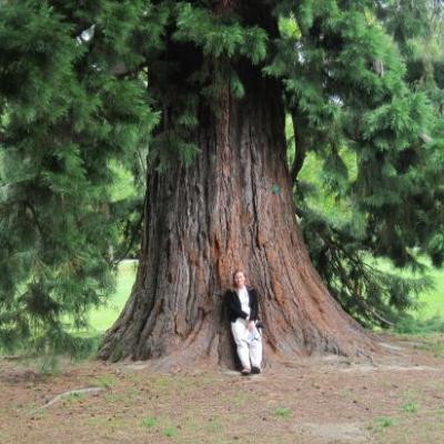 Jardin botanique a Christchurch