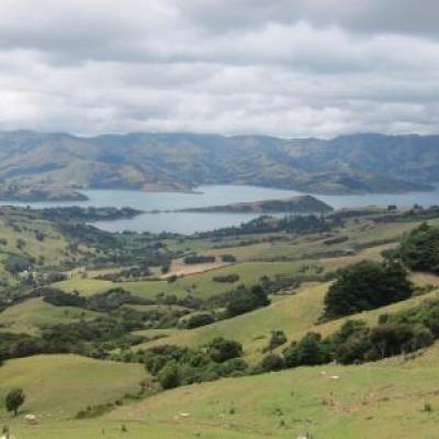 Magnifique vue sur la peninsule volcanique d'Akaora (pres de Christchurch), ou les Francais ont debarque en 1er