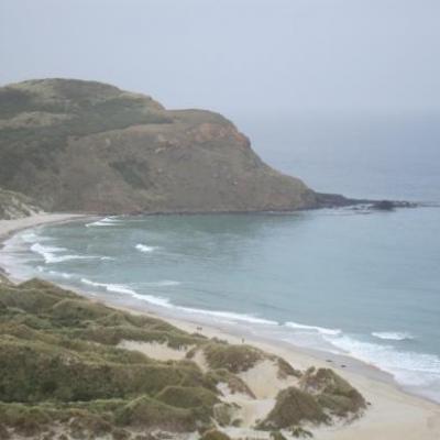 Ballade dans la "Sandy Bay" de la peninsule d'Otarago