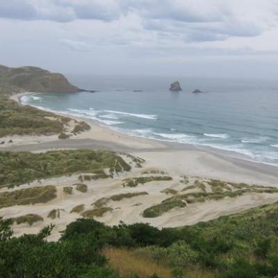 Ballade dans la "Sandy Bay" de la peninsule d'Otarago