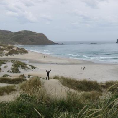 Ballade dans la "Sandy Bay" de la peninsule d'Otarago