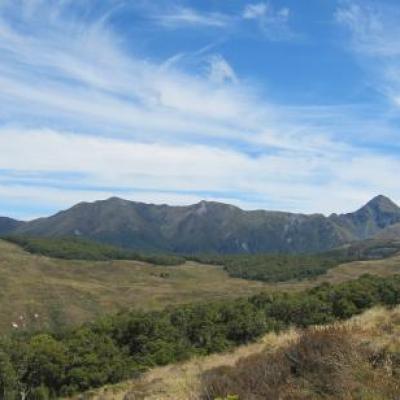 Kepler Track
