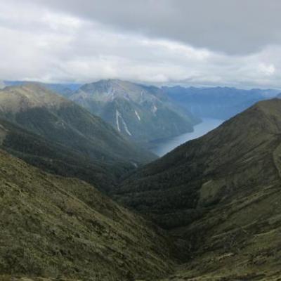 Kepler Track