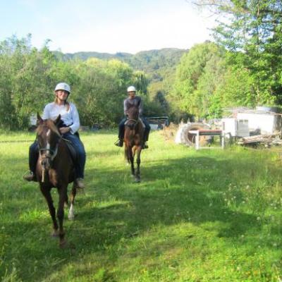 Julia et Albin, section spéciale