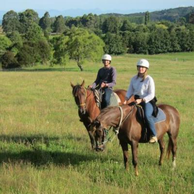 Julia et Albin, section spéciale