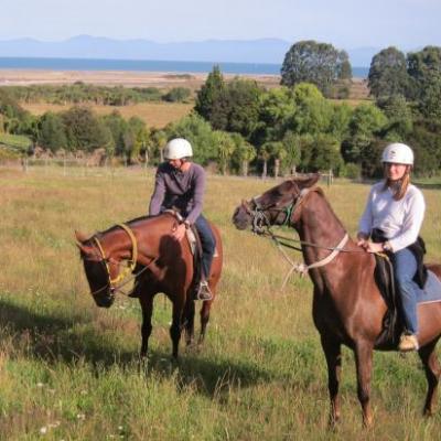 Julia et Albin, section spéciale