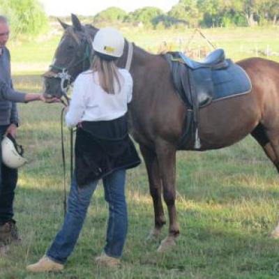 Julia et Albin, section spéciale