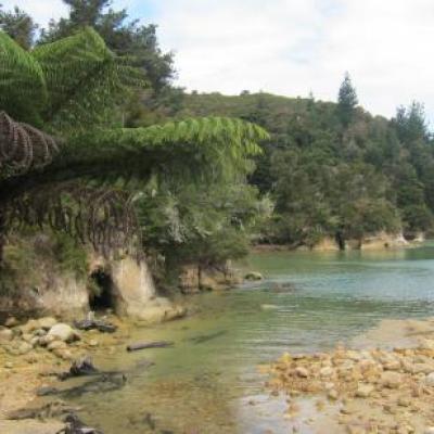 Baie d Abel Tasman