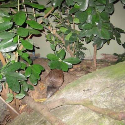 Parc animalier de Wellington