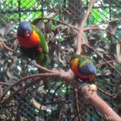 Parc animalier de Wellington