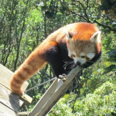 Parc animalier de Wellington