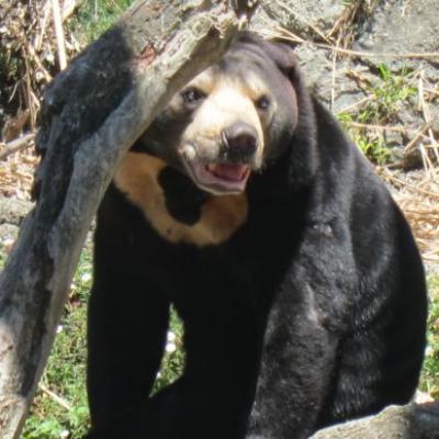 Parc animalier de Wellington