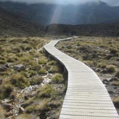 Trek sur les volcans de Tongariro