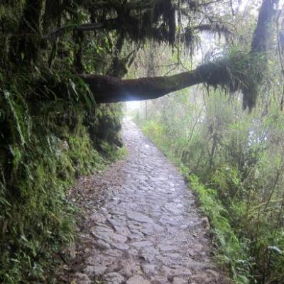 Chemin des Incas