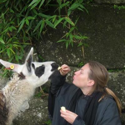 Julia et Albin, section spéciale