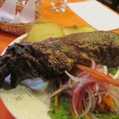 Délicieux ! Quechua = Cuy / Anglais = Guinea pig / Français = cochon d'Inde (désolés Aurélie...)