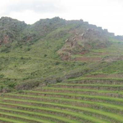 Site inca de Pisac (terrasses agricoles)