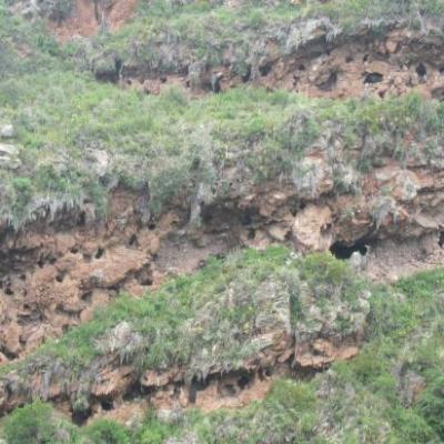 Site inca de Pisac (tombes creusées dans la roche)