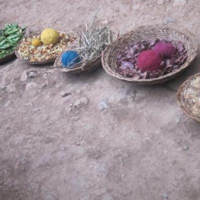 Teinture de la laine d'alpaga aux pigments naturels (village de Chinchero)