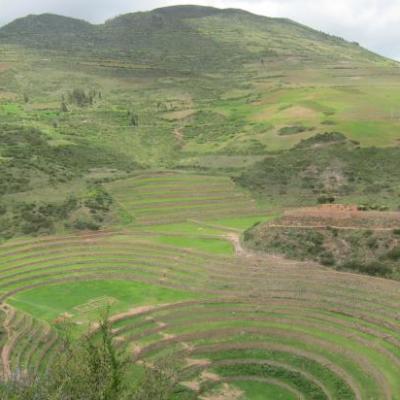 Cultures en cercles concentriques (ruines incas de Moray)