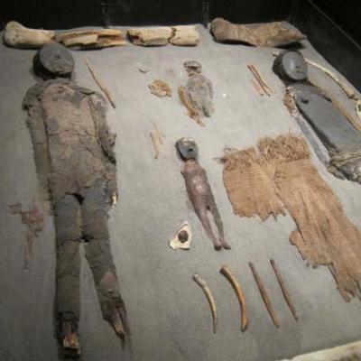 Momies chinchero de 5000 avant JC (musée archéologique de San Miguel)