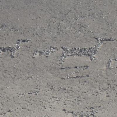 Géoglyphes à la sortie de Arica